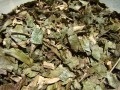 porangaba-cha-de-bugre-cordia-salicifoli