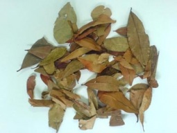 pedra-ume-caa