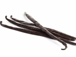 baunilha-fava-1un-bourbon-gourmet