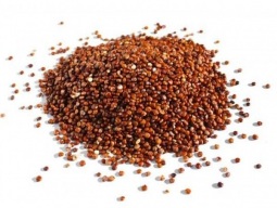 quinoa-vermelha-grao